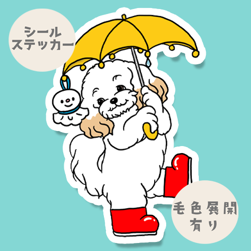 梅雨のお散歩のマルプーちゃん。111-17