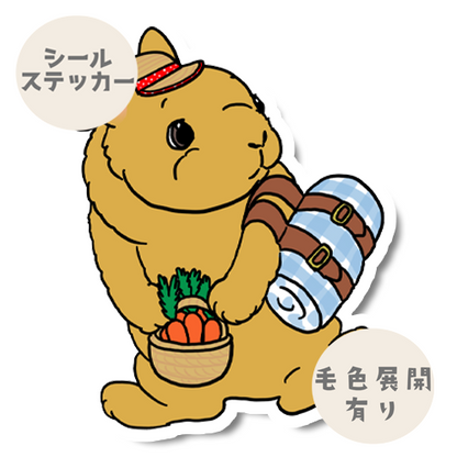 ピクニックの待ち合わせしてるネザーランドドワーフちゃん。185-2