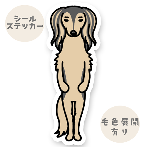 たたずむサルーキさん。34-9