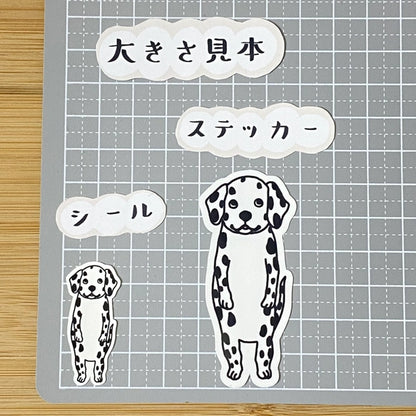 ダルメシアンちゃん。53-1