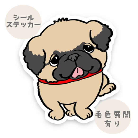 お散歩ペキニーズちゃん。97-