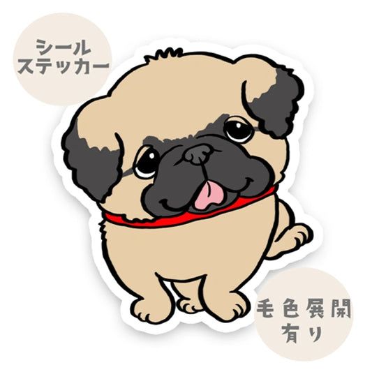 お散歩ペキニーズちゃん。97-