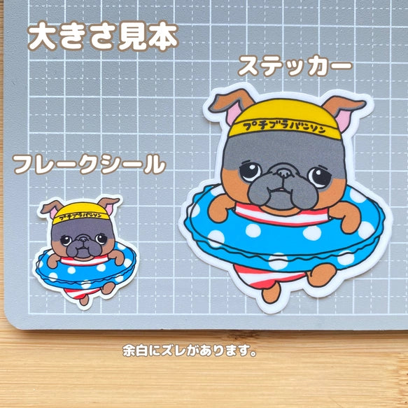 プールに来たプチブラバンソンちゃん。86-
