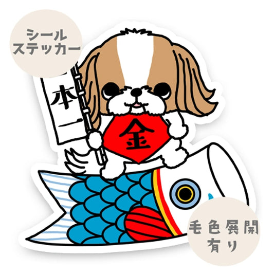 シーズーちゃんの端午の節句。35-13