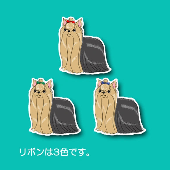 おめかしヨーキーちゃん。114-2