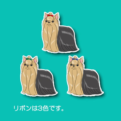 おめかしヨーキーちゃん。114-2