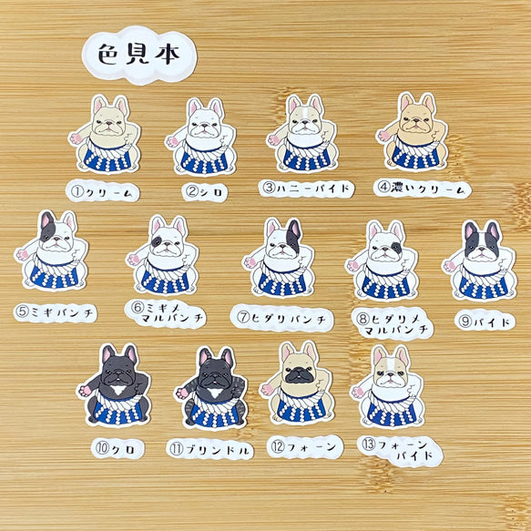 ヨコヅナフレブルちゃん。96−138