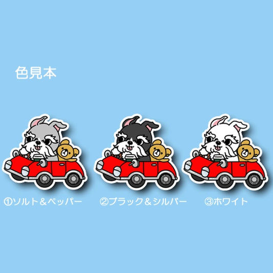 ドライブシュナウザーちゃん。44-16