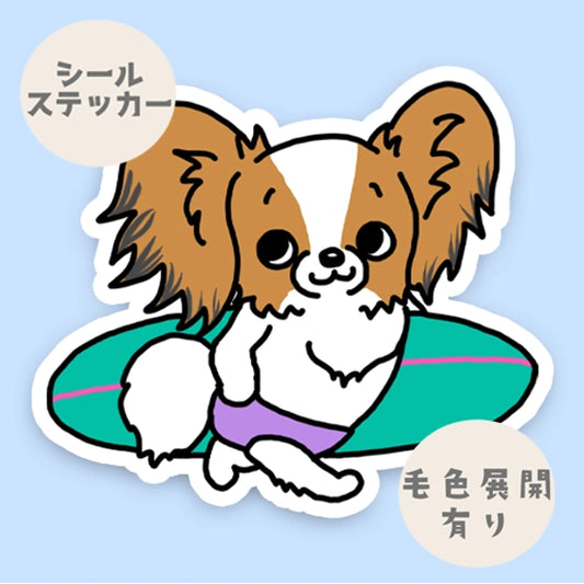サーファーパピヨンちゃん。80-