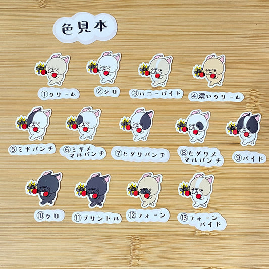 フレブルちゃんのフィラリア予防。96−116