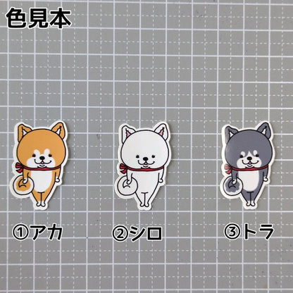 かわいいアキタイヌちゃん。3-3