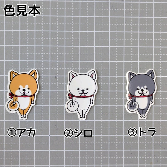 かわいいアキタイヌちゃん。3-3