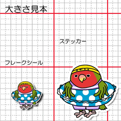 プールに入りたいコザクラインコちゃん。