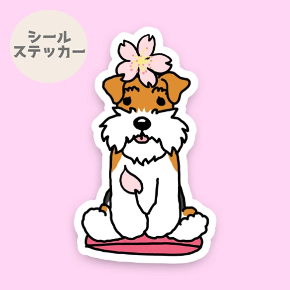 ワイアーフォックステリアちゃんの春のご挨拶。124-3