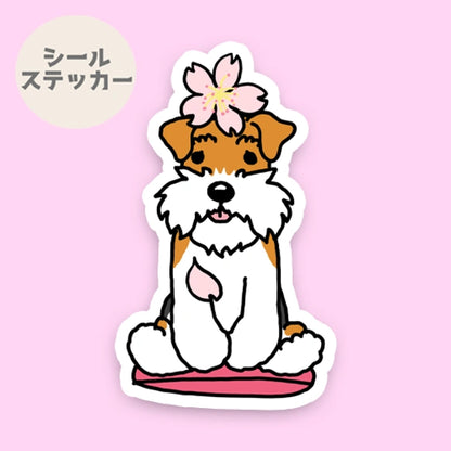 ワイアーフォックステリアちゃんの春のご挨拶。124-3