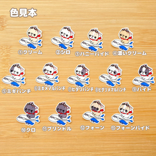 フレブルちゃんの楽しい空の旅。96−313