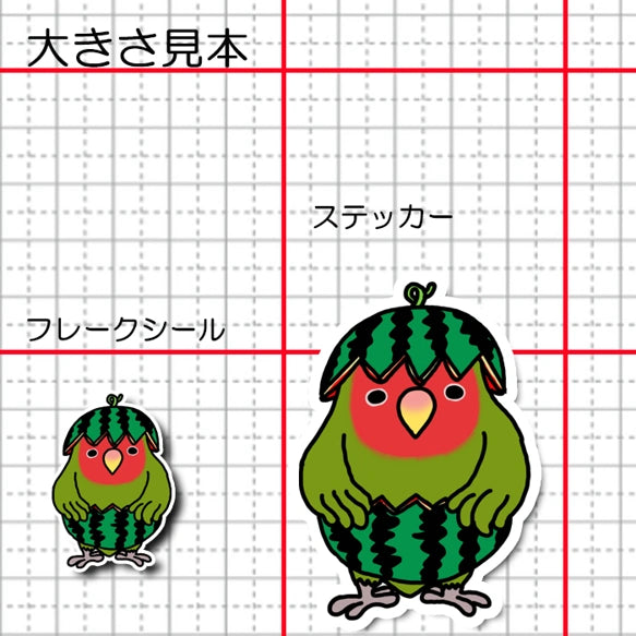 スイカコザクラインコちゃん。