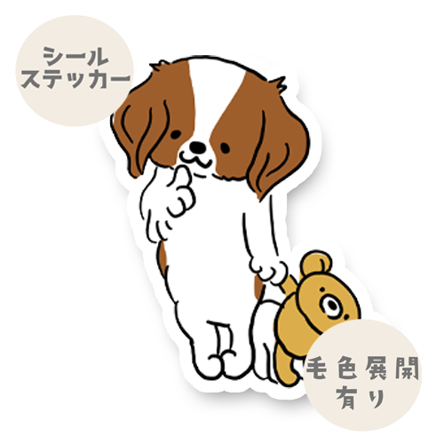 ぽやっとしてるキャバチワちゃん。126-5