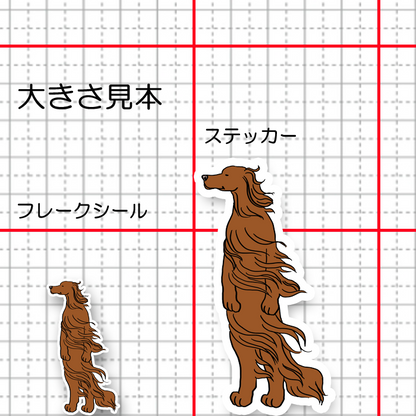 風に吹かれるアイリッシュセターさん。2-7