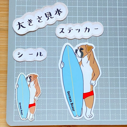 サーファーボクサー。100-