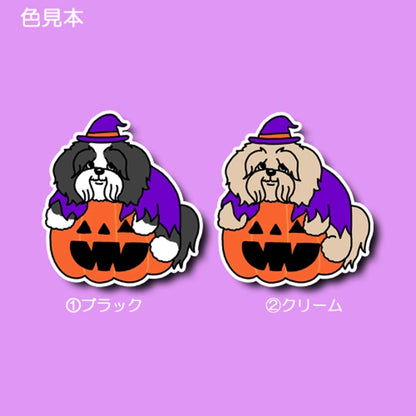 オバケカボチャとチベタンテリアちゃん。56-3