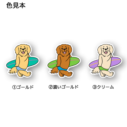 サーファーゴールデンさん。32-26