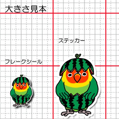 スイカボタンインコちゃん。