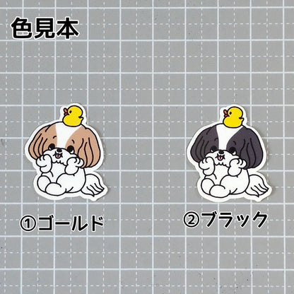 考えてるシーズーちゃん。35-4