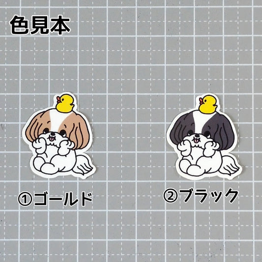 考えてるシーズーちゃん。35-4
