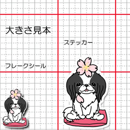 狆ちゃんの春のご挨拶。66-16