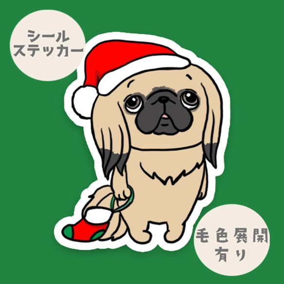 サンタさんを待ってるペキニーズちゃん。97-