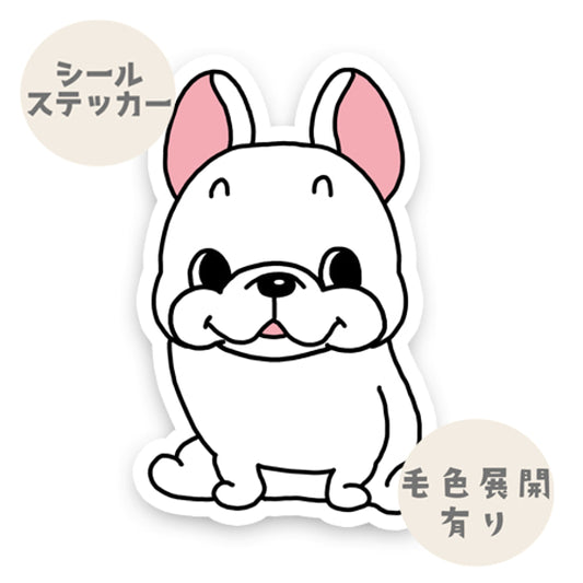 ファニーフェイスフレブルちゃん。96−300