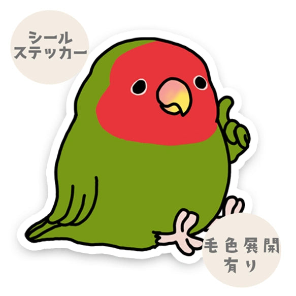 考えてるコザクラインコちゃん。