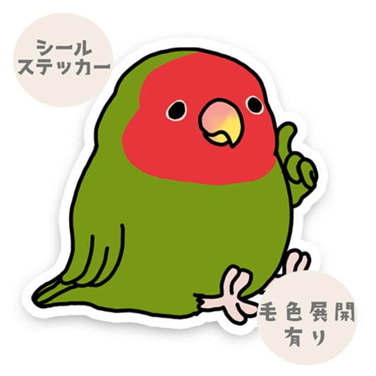 考えてるコザクラインコちゃん。