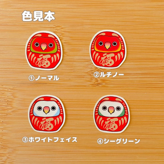 コザクラインコだるま。