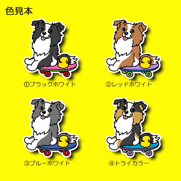 誰かと遊べないかなーって待ってるボーダーコリーちゃん。106-