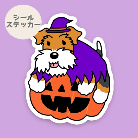 オバケカボチャとワイアーフォックステリアちゃん。124-6