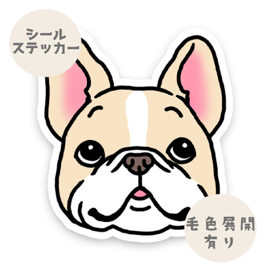 フレブルのカオ。96−205