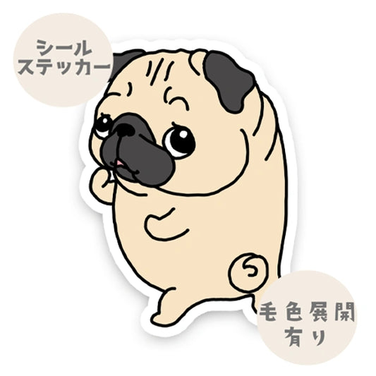 ン？って言ってるパグちゃん。76-