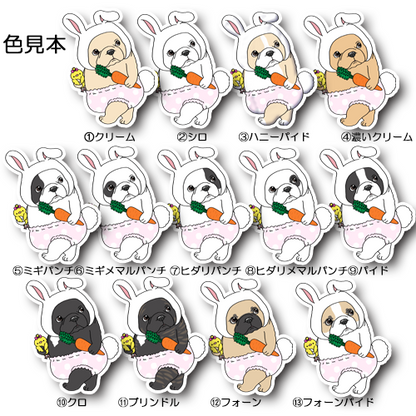 春のウサギちゃんフレブル。96−469