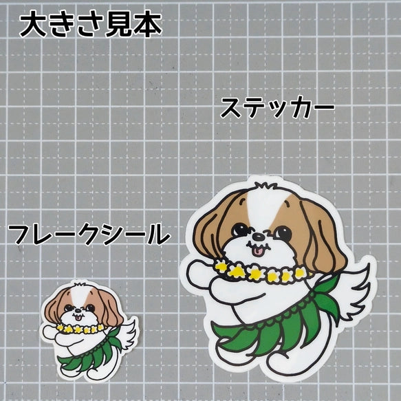 フラシーズーちゃん。35-20