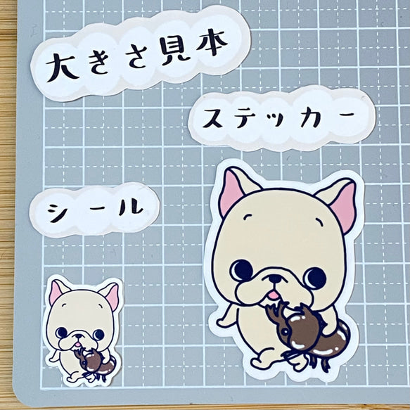 お気に入りカブトムシとお散歩フレブルちゃん。96−132