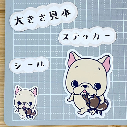 お気に入りカブトムシとお散歩フレブルちゃん。96−132