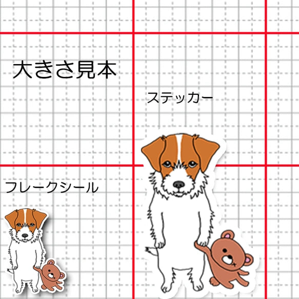 遊んでほしいジャックラッセルちゃん。42-13