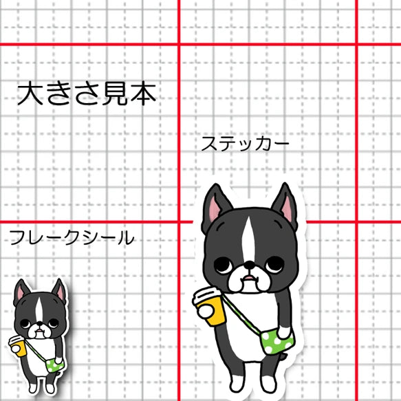 ぶらぶらショッピング中のボストンテリアちゃん。101-