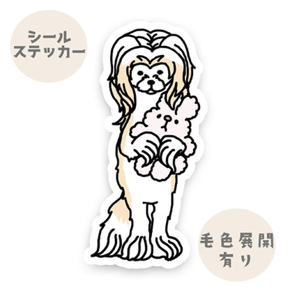 おりこうさんでお留守番してるパウダーパフちゃん。58-1