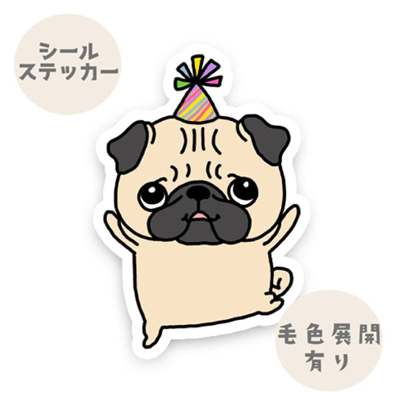 パーティーパグちゃん。76-