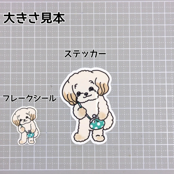 おでかけチワプーちゃん。61-2