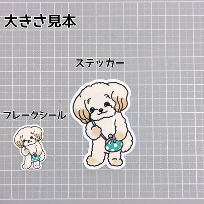 おでかけチワプーちゃん。61-2