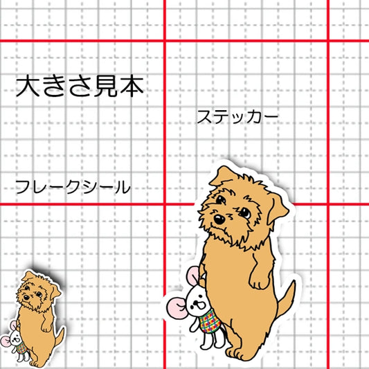 おりこうさんでお留守番してるノーフォークテリアちゃん。73-